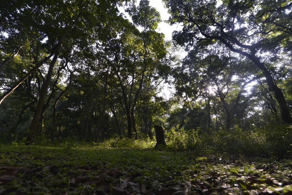 Gokarna Forest Resort Catmandu Exterior foto