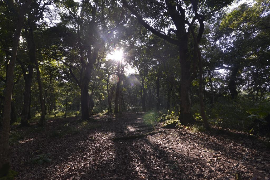 Gokarna Forest Resort Catmandu Exterior foto