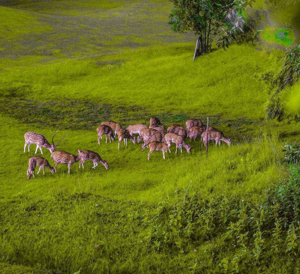 Gokarna Forest Resort Catmandu Exterior foto